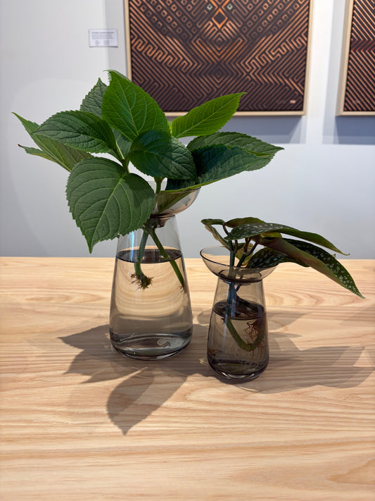 Propagation Vases