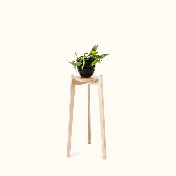 Japandi Plant Stand