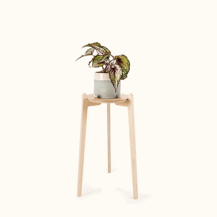 Japandi Plant Stand