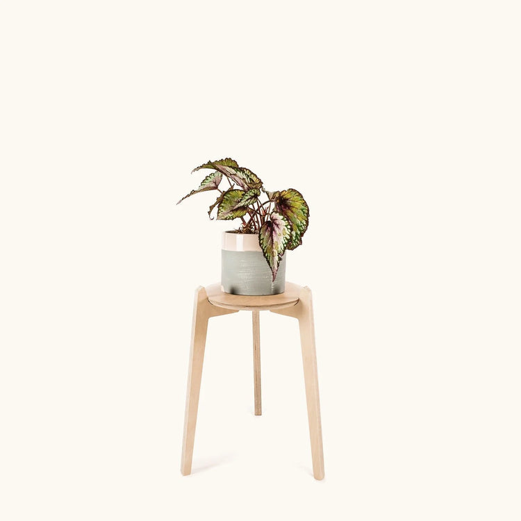 Japandi Plant Stand