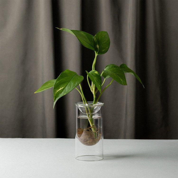 Studio Milligram Propagation Vase, Set of 2